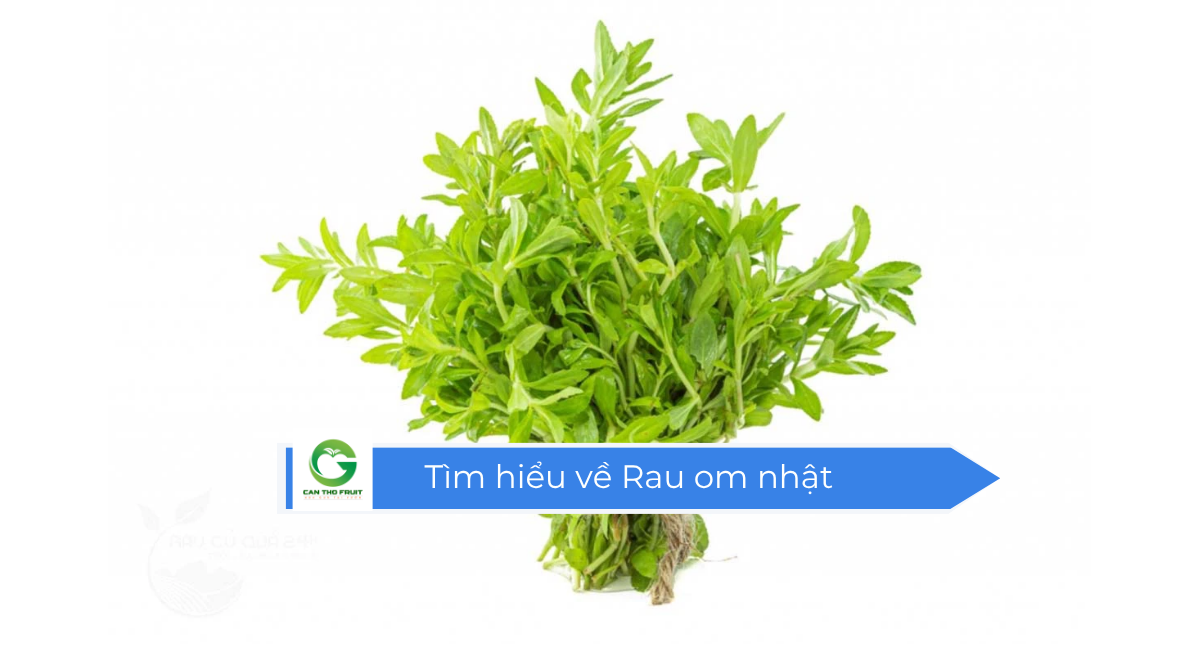 Rau om nhật ngon như nhà trồng - HOA QUẢ CẦN THƠ