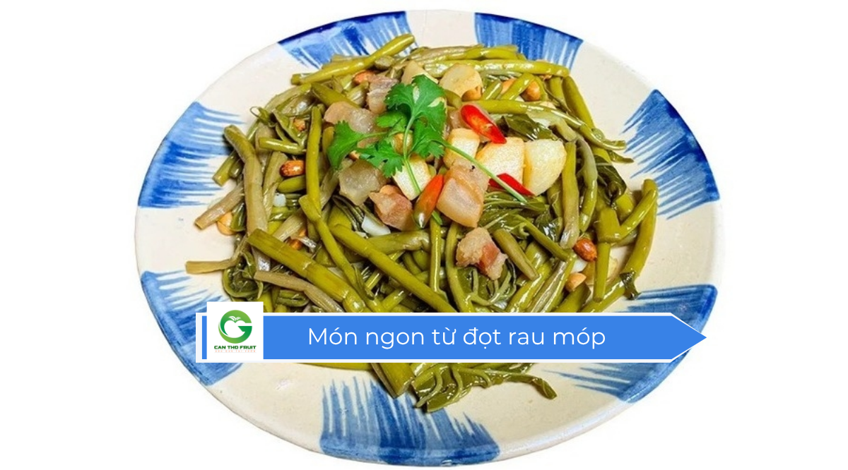 Đọt rau móp vừa túi tiền lại bổ dưỡng - HOA QUẢ CẦN THƠ