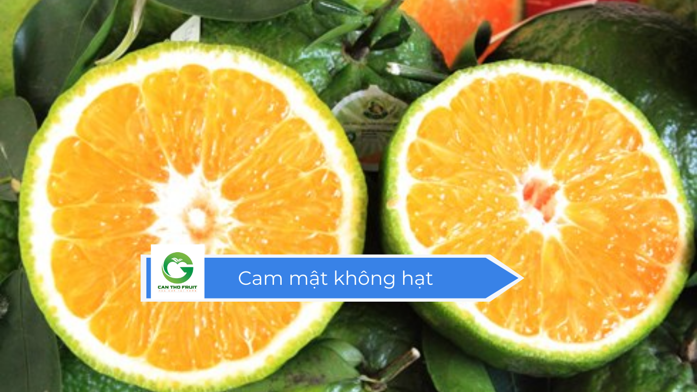Giá Cam mật không hạt hôm nay - HOA QUẢ CẦN THƠ