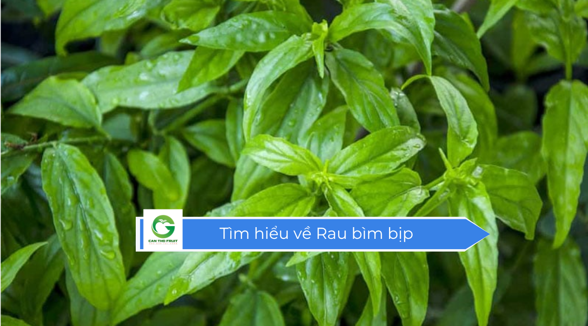 Rau bìm bịp ăn ngon không sợ tốn - HOA QUẢ CẦN THƠ