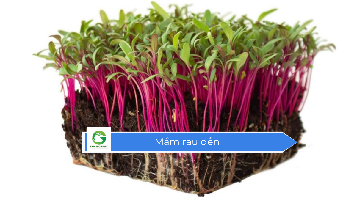 Rau mầm rau dền ngon mà không lo về giá - HOA QUẢ CẦN THƠ