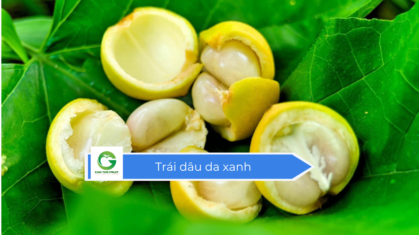 Giá Trái dâu da xanh hôm nay - HOA QUẢ CẦN THƠ