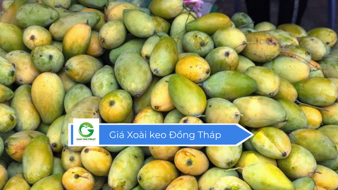 Xoaif Giá Xoài keo Đồng Tháp hôm nay - HOA QUẢ CẦN THƠ