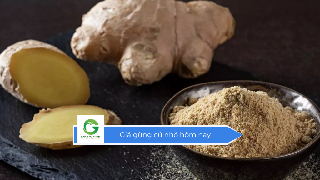 Giá gừng củ nhỏ hôm nay