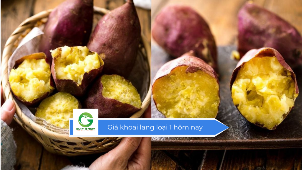 Giá khoai lang loại 1 hôm nay