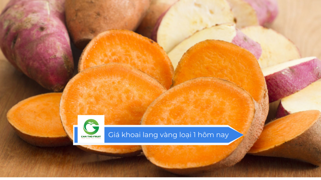 Giá khoai lang loại 1 hôm nay