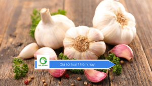 Giá củ tỏi loại 1 hôm nay