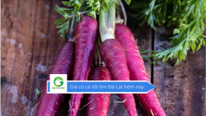 Giá củ cà rốt tím Đà Lạt hôm nay