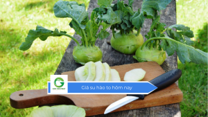 Giá su hào to hôm nay