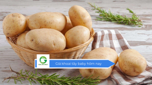 Giá khoai tây baby hôm nay