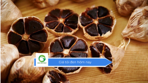 Giá tỏi đen hôm nay