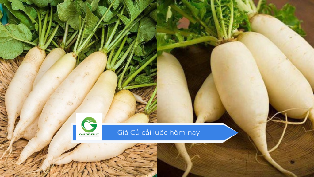 Giá củ cải luộc hôm nay