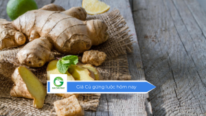 Giá củ gừng luộc hôm nay