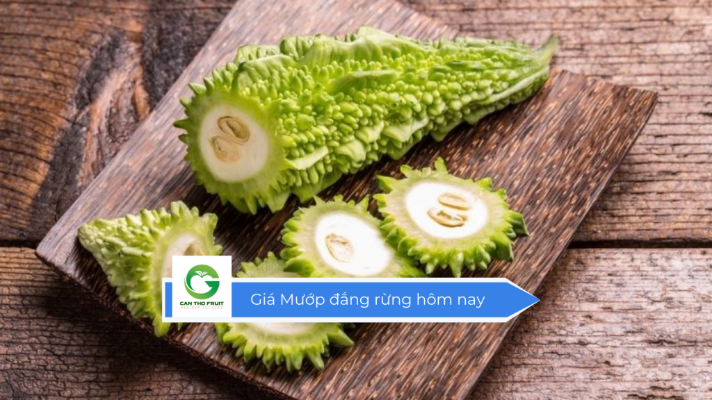 Giá mướp đắng rừng hôm nay