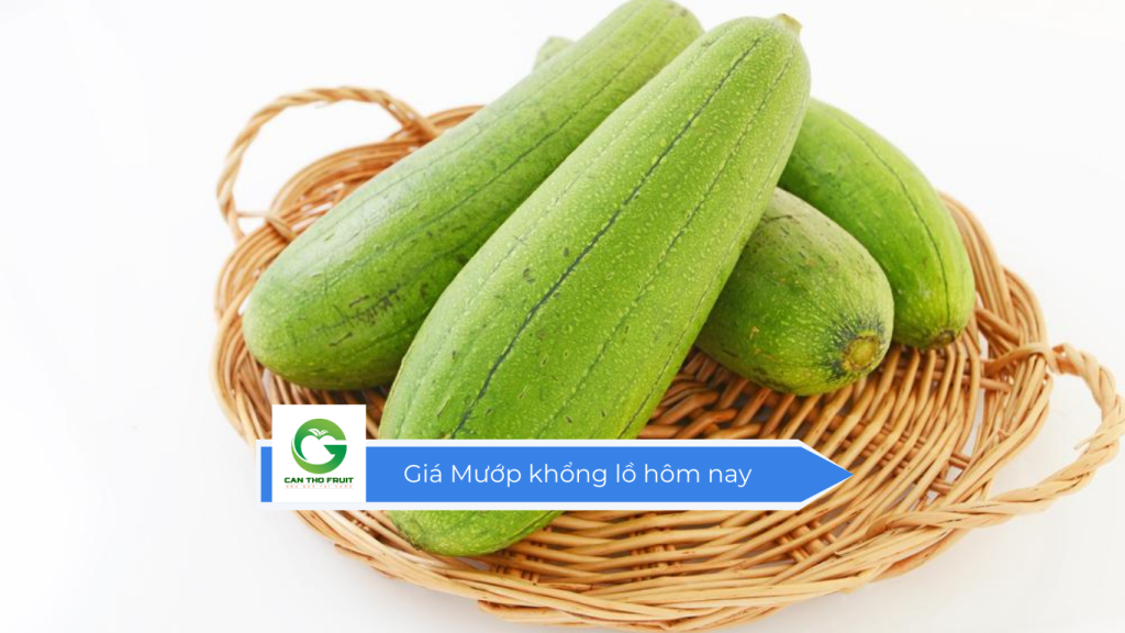 Giá mướp khổng lồ hôm nay