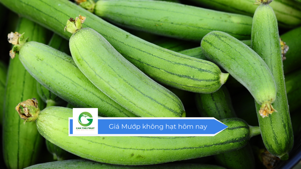 Giá mướp không hạt hôm nay