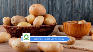 Giá khoai tây Hà Lan hôm nay