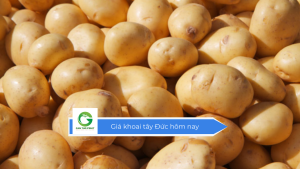 Giá khoai tây Đức hôm nay
