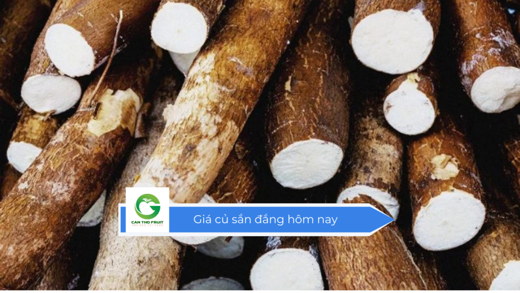 Giá củ sắng đắng hôm nay