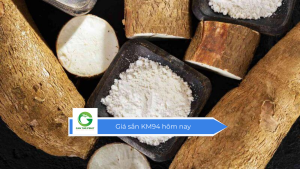 Giá sắn KM94 hôm nay