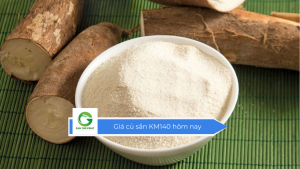 Giá củ sắn KM140 hôm nay