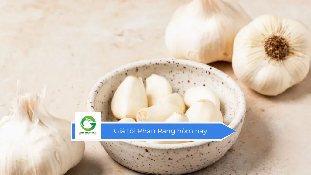 Giá tỏi Phan Rang hôm nay
