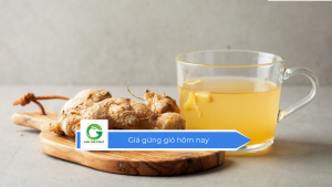 Giá gừng gió hôm nay