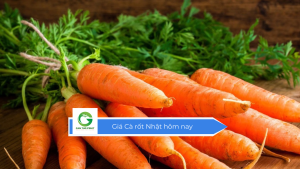 Giá cà rốt nhật hôm nay