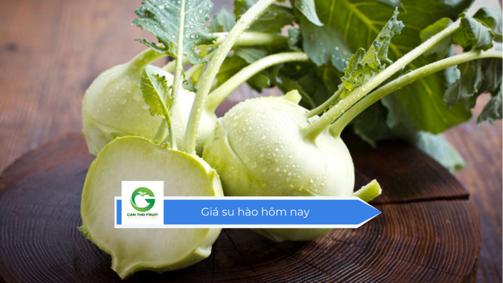 Giá su hào hôm nay