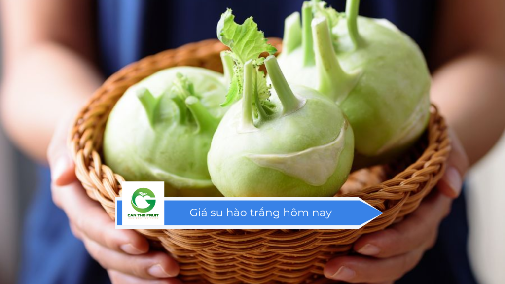 Giá su hào trắng hôm nay