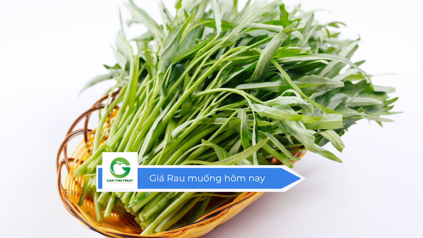 Giá Rau muống hôm nay - HOA QUẢ CẦN THƠ
