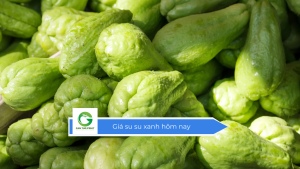 Giá su su xanh hôm nay