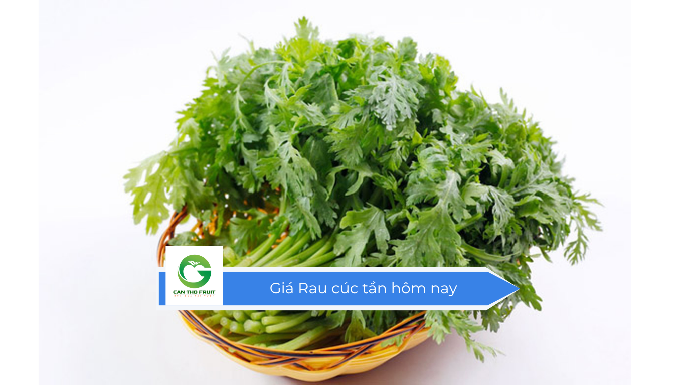 Giá Rau cúc tần hôm nay - HOA QUẢ CẦN THƠ