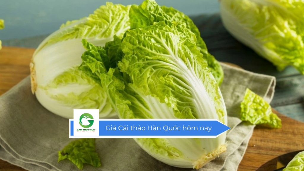 Giá cải thảo Hàn Quốc hôm nay
