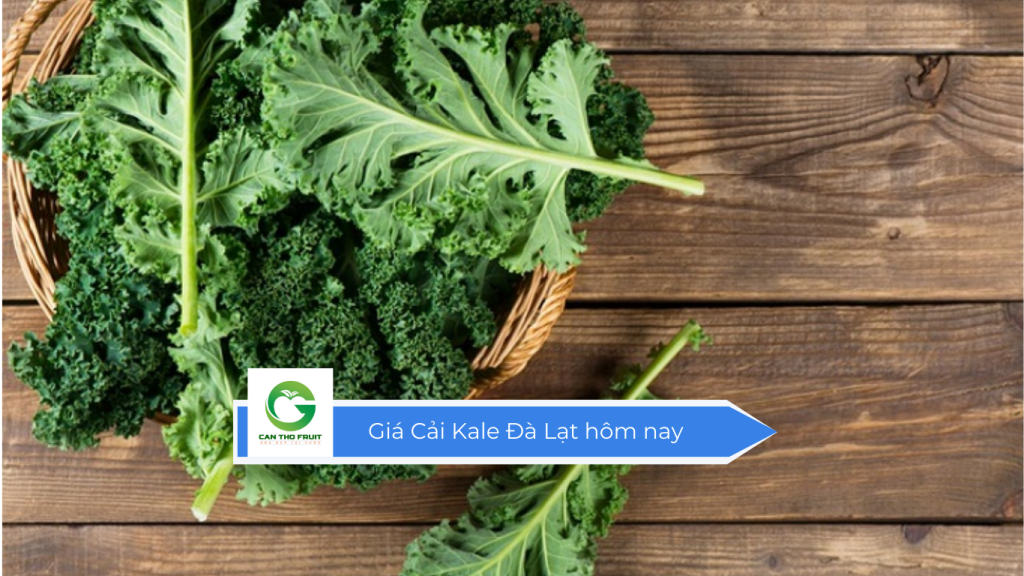 Giá cải baby Kale Đà Lạt hôm nay