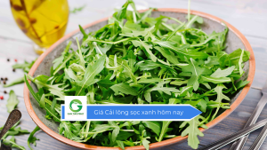 Giá cải lông sọc xanh hôm nay