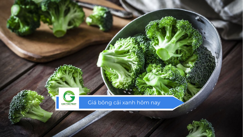 Giá bông cải xanh hôm nay