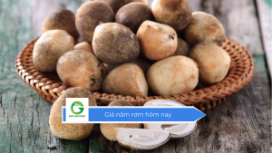Giá nấm rơm hôm nay