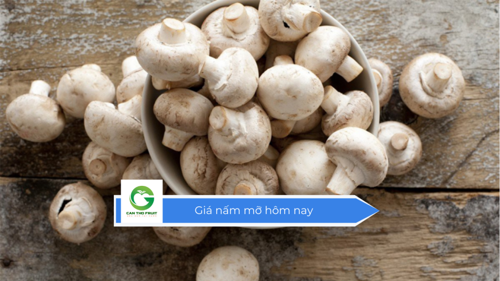Giá nấm mỡ hôm nay