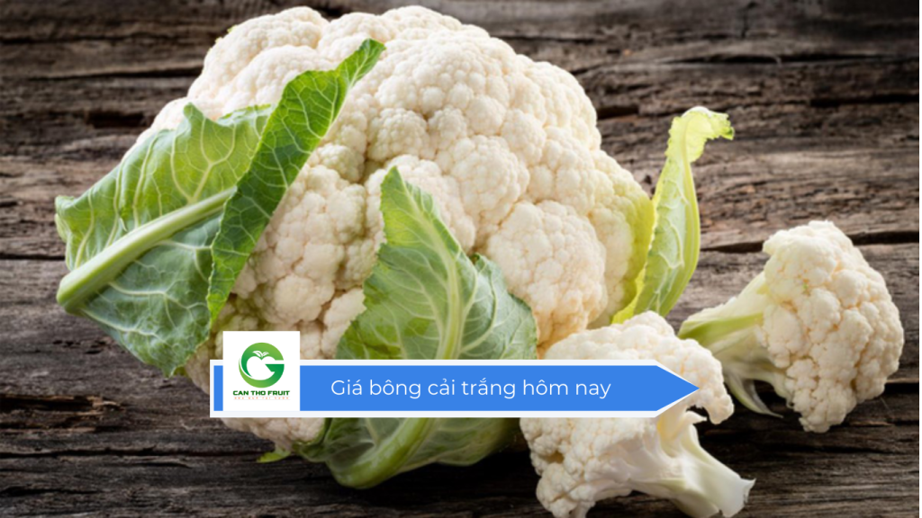 Giá bông cải trắng hôm nay