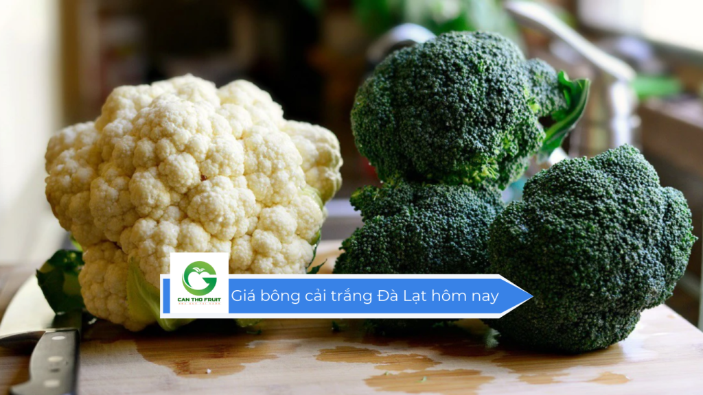 Giá bông cải trắng Đà Lạt hôm nay