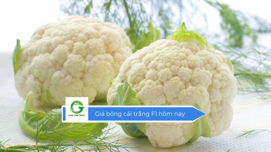 Giá bông cải trắng F1 hôm nay