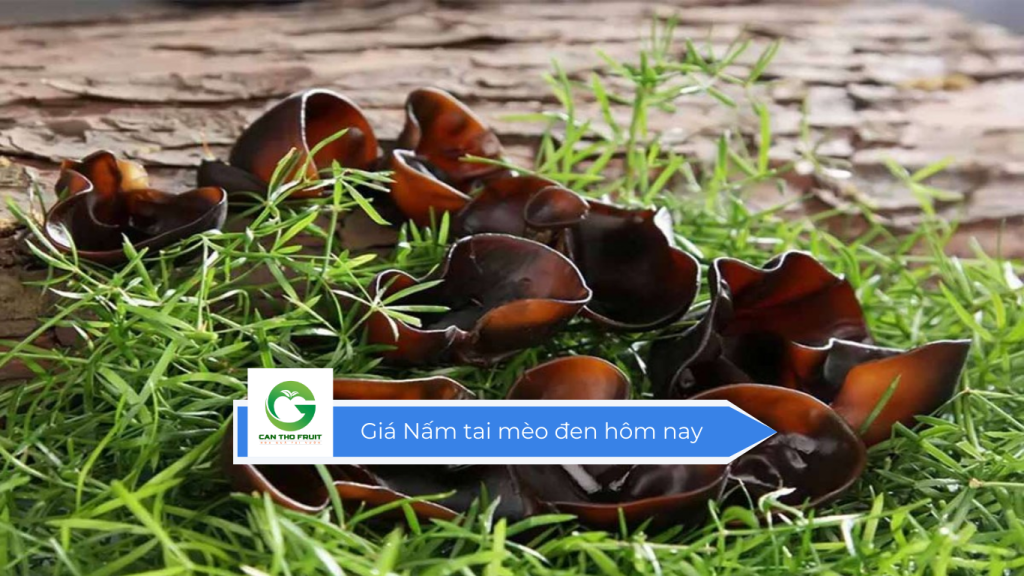 Giá nấm tai mèo đen hôm nay