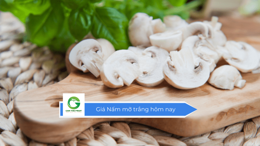 Giá nấm mỡ trắng hôm nay