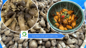 Giá nấm mối xám hôm nay