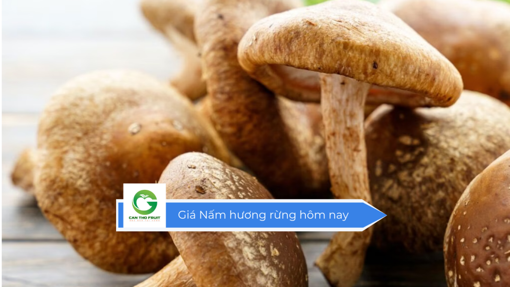 Giá nấm hương rừng hôm nay