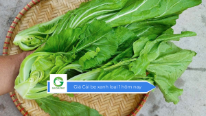Giá cải bẹ xanh loại 1 hôm nay