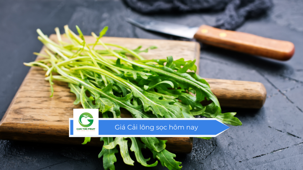 Giá cải lông sọc hôm nay