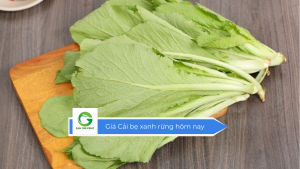 Giá cải bẹ xanh rừng hôm nay