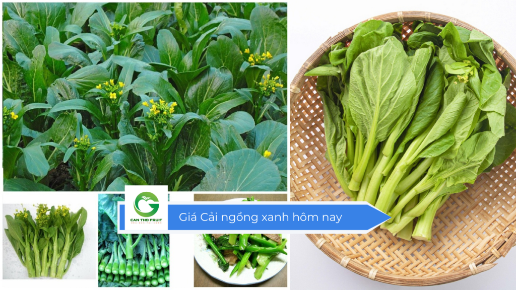 Giá cải ngồng xanh hôm nay